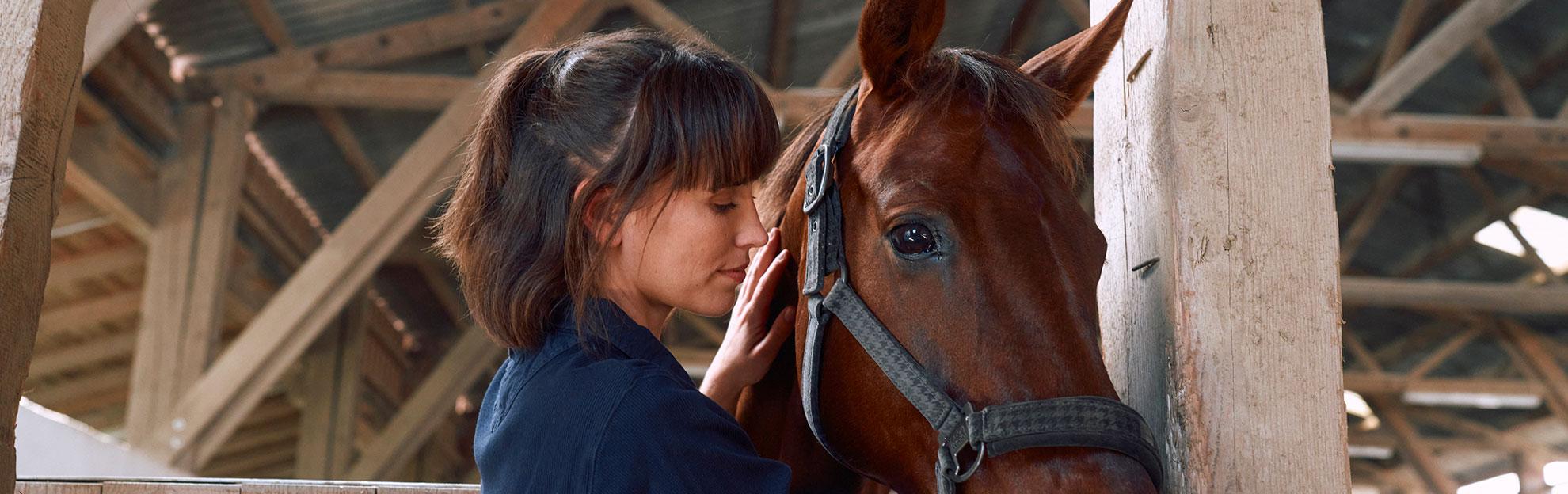 feeding-horses-during-periods-of-rest-and-recuperation