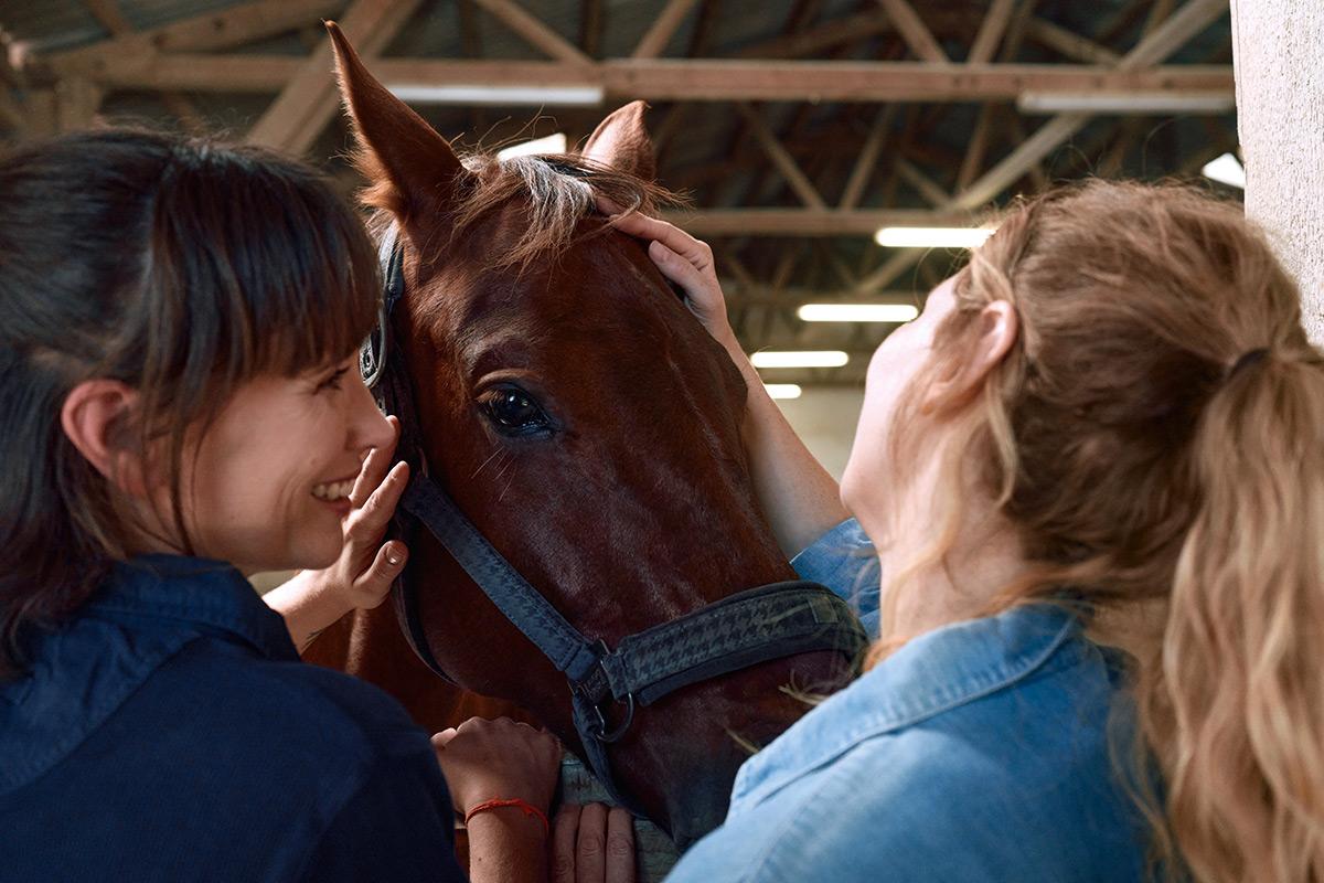 spirulina for horses