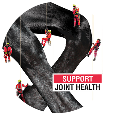 joint-health