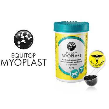 myoplast-product